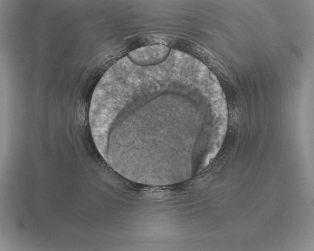 X0000115410331200912151547