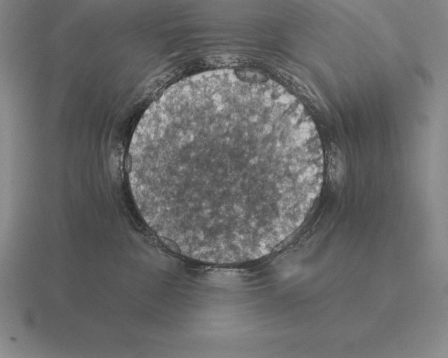 X0000115410332200912151547