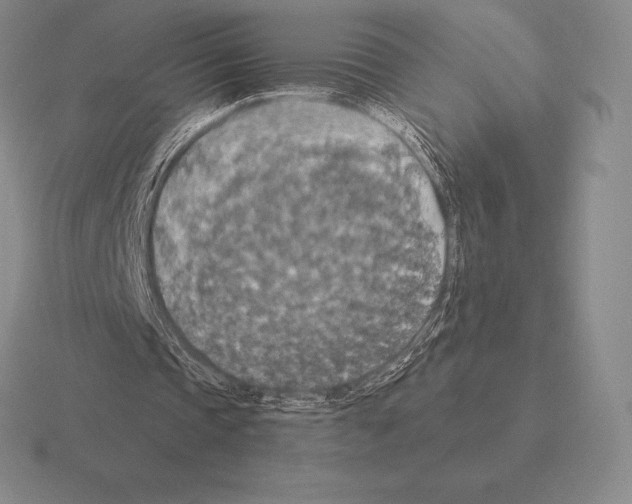 X0000115410337200912151546