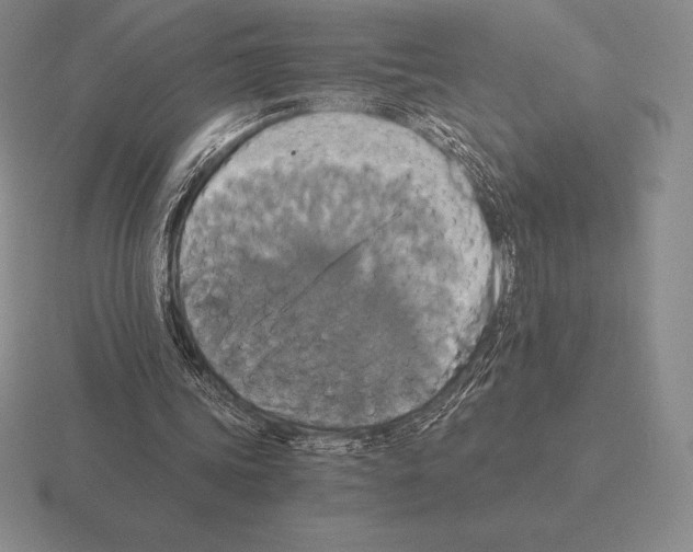 X0000115410339200912151546