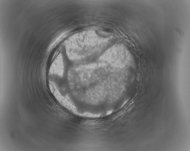 X0000115410341200912151546