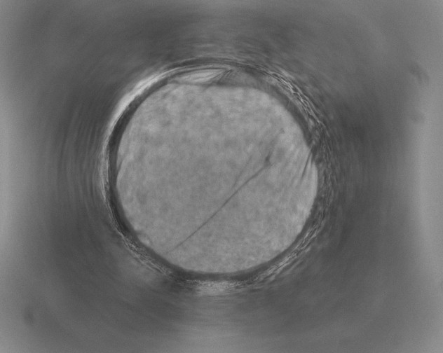 X0000115410342200912151546