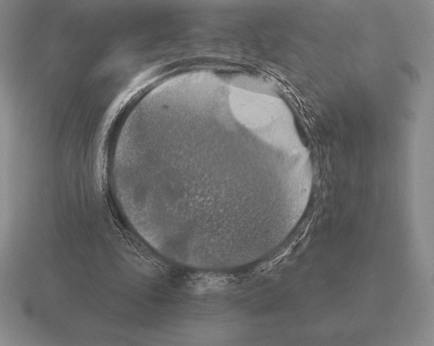 X0000115410343200912151546