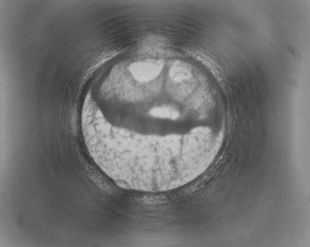 X0000115410345200912151546