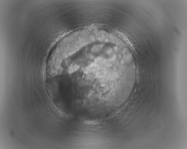 X0000115410346200912151546