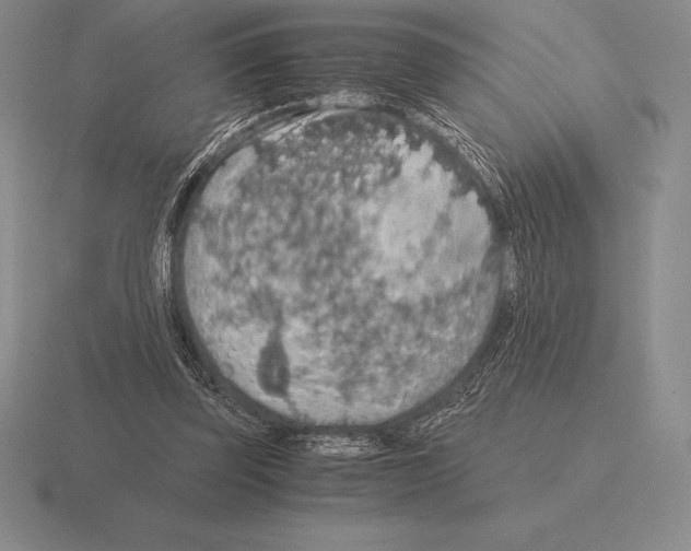 X0000115410347200912151546