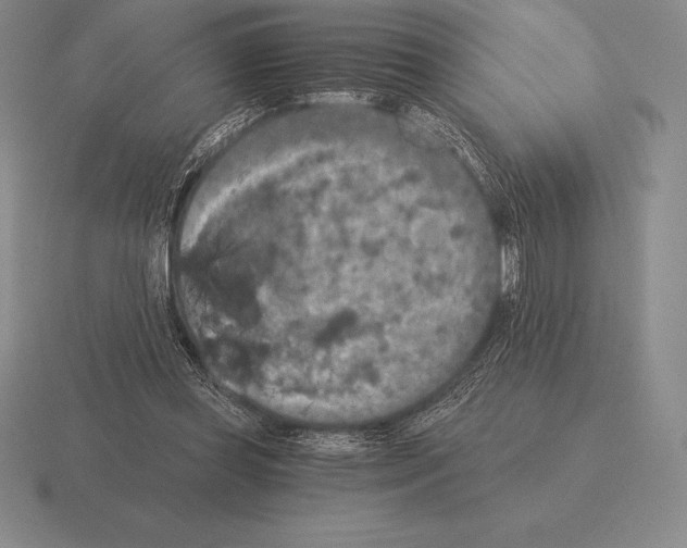 X0000115410349200912151546