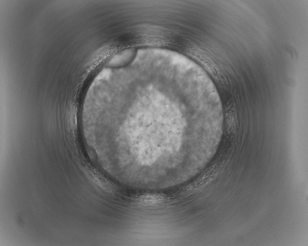 X0000115410350200912151546