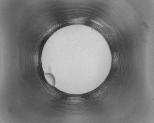 X0000115410351200912151546