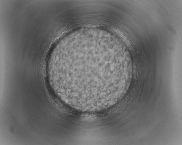 X0000115410354200912151546