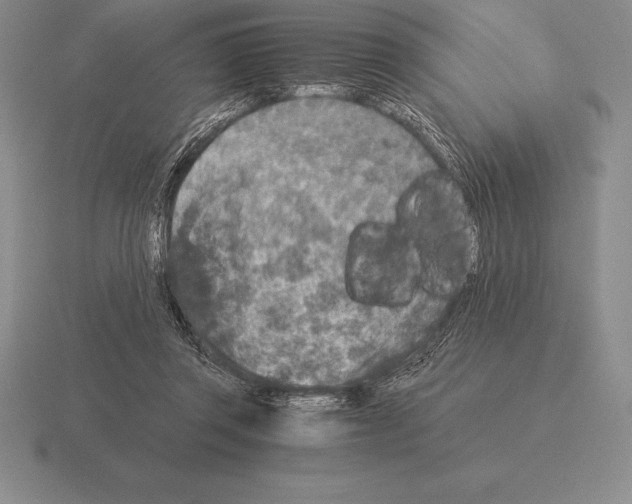 X0000115410357200912151546