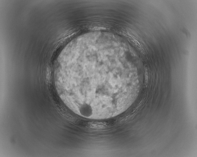 X0000115410359200912151546