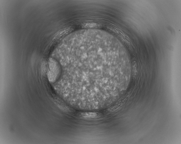 X0000115410361200912151546