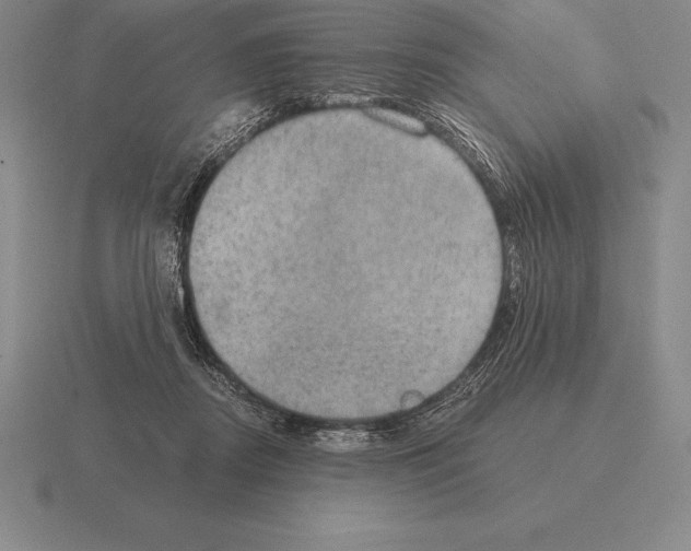 X0000115410362200912151546