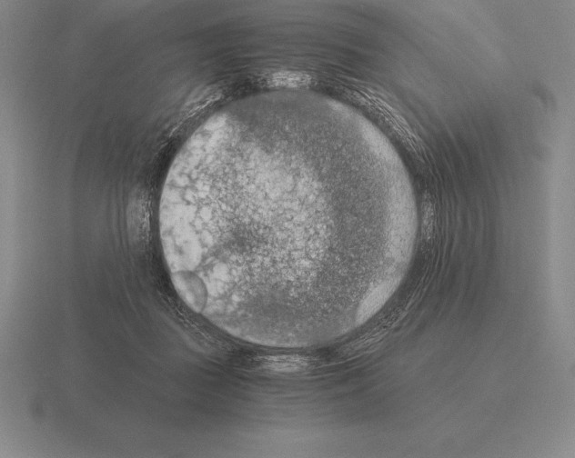 X0000115410363200912151546