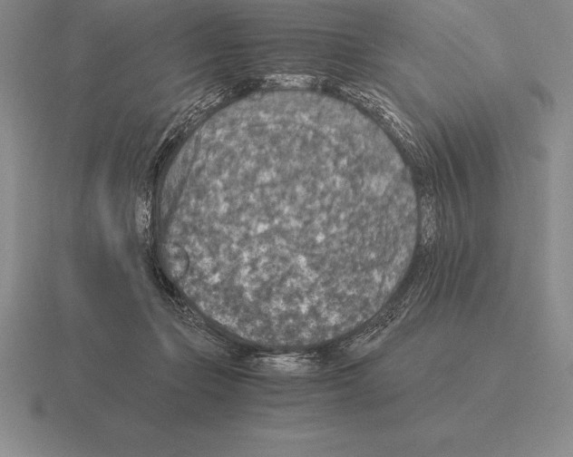 X0000115410365200912151546