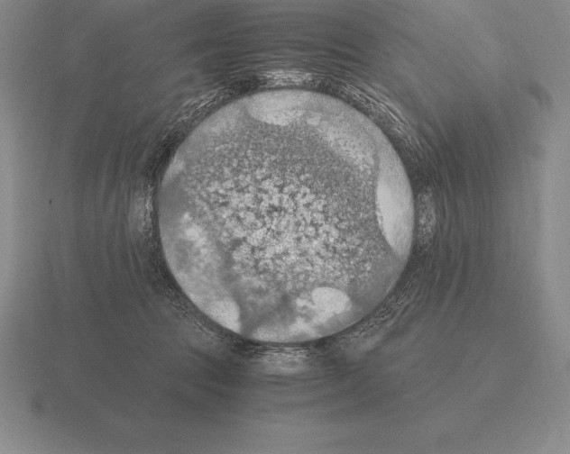 X0000115410369200912151546