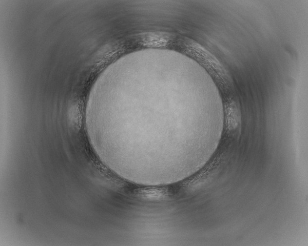 X0000115410370200912151546