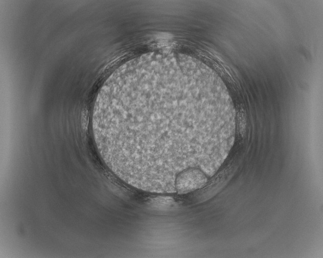 X0000115410374200912151547