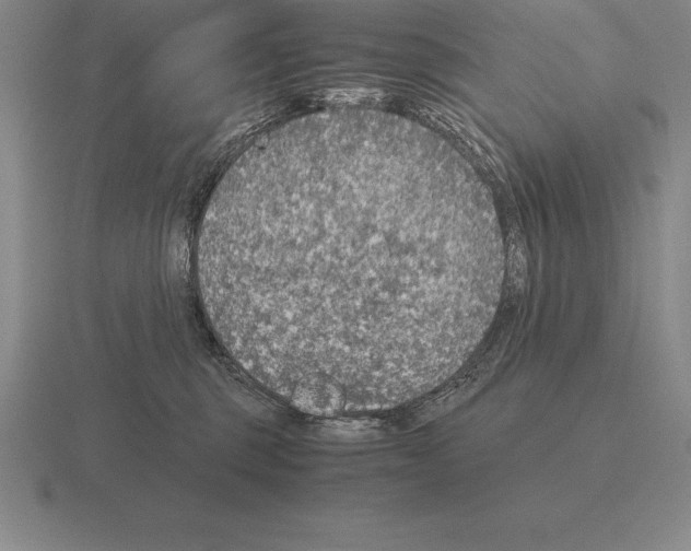 X0000115410375200912151547