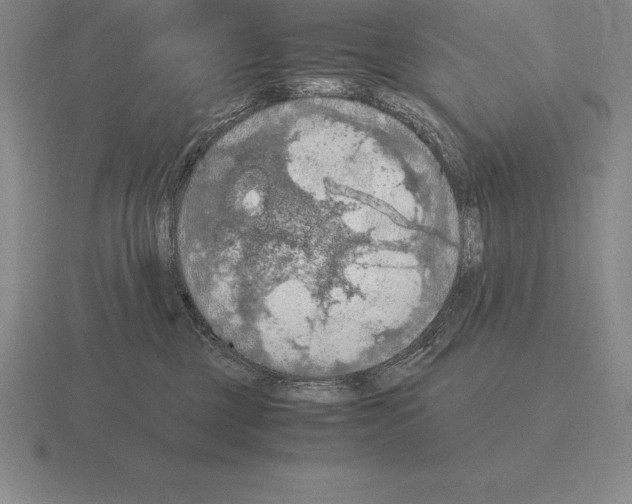 X0000115410377200912151547