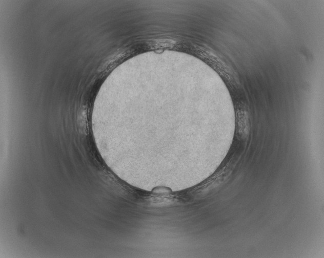 X0000115410378200912151547