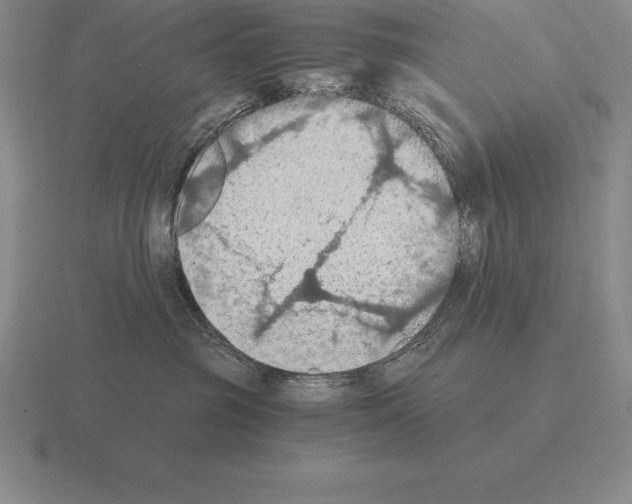 X0000115410381200912151547