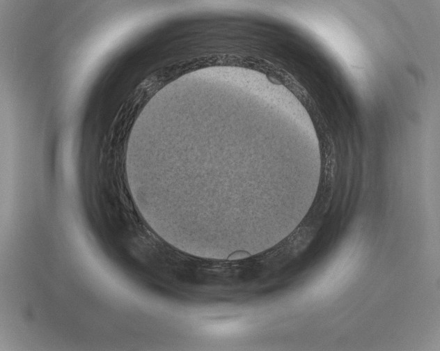 X0000115410383200912151547