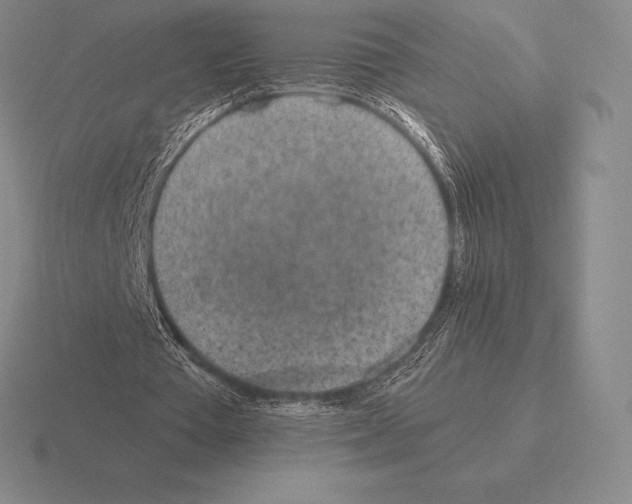 X0000115410385200912151546