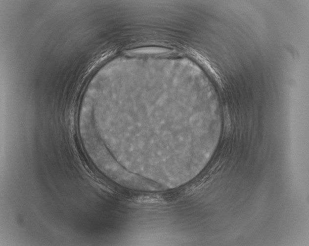 X0000115410386200912151546