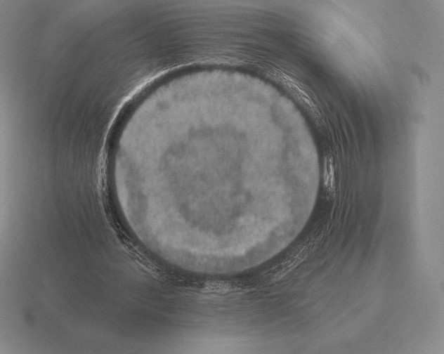 X0000115410388200912151546