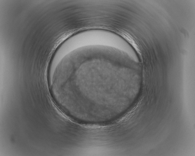 X0000115410389200912151546