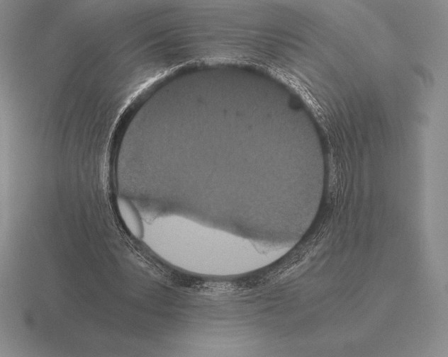 X0000115410391200912151546