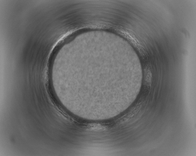 X0000115410392200912151546