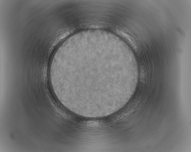 X0000115410394200912151546