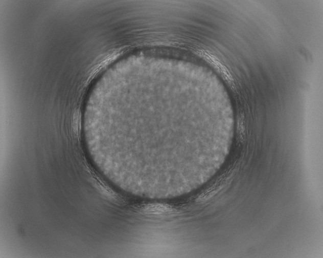 X0000115410397200912151546