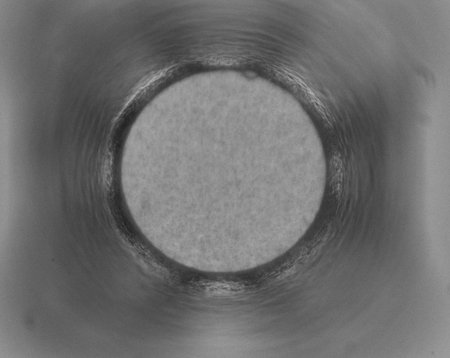 X0000115410400200912151546