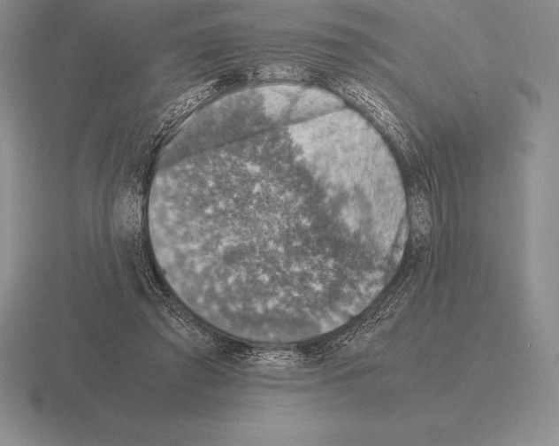 X0000115410401200912151546