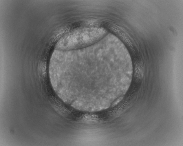 X0000115410403200912151546