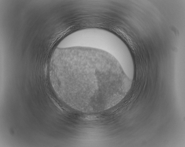 X0000115410405200912151546