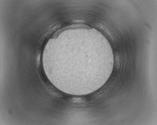 X0000115410406200912151546