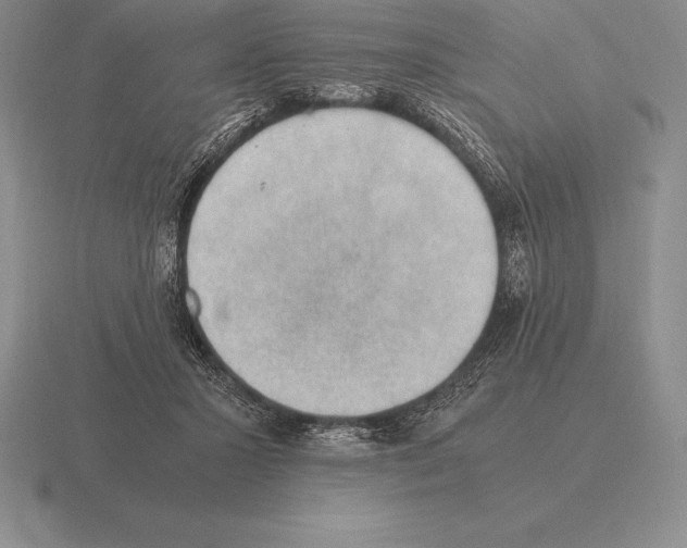 X0000115410407200912151546