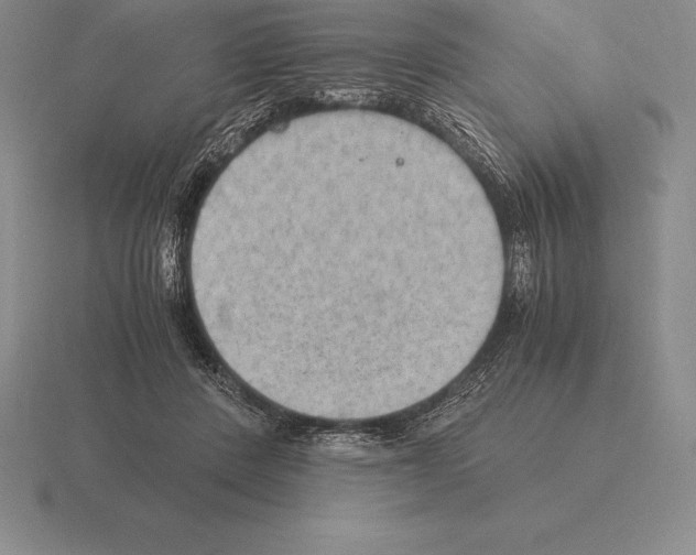 X0000115410408200912151546