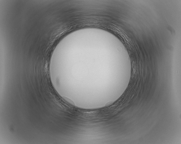 X0000115410411200912151546