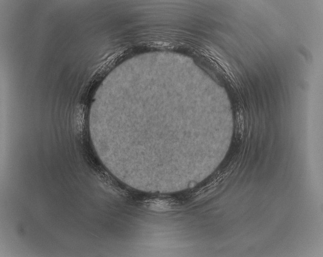 X0000115410412200912151546