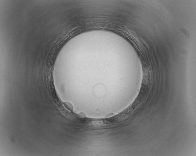 X0000115410413200912151546