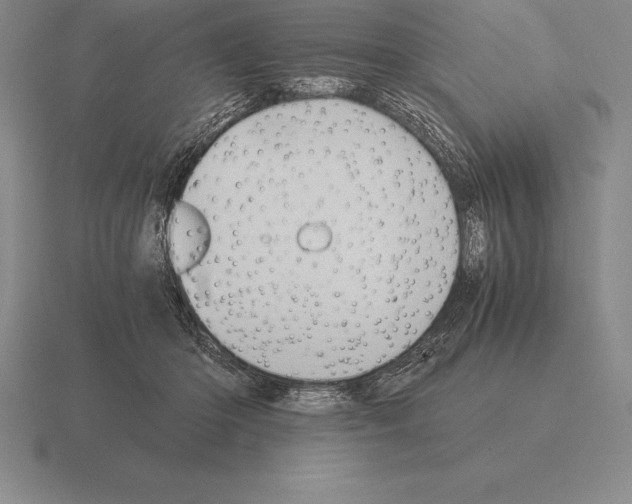 X0000115410414200912151546