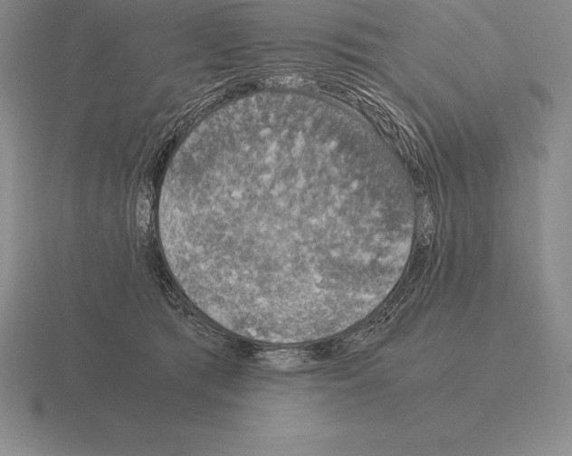 X0000115410417200912151546