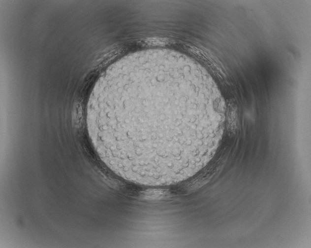 X0000115410418200912151546