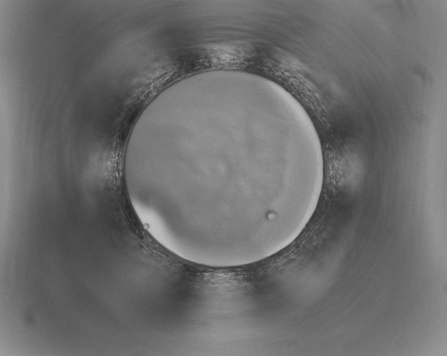 X0000115410419200912151546